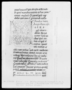 Homiliarium — Initiale M(agna), Folio 63verso