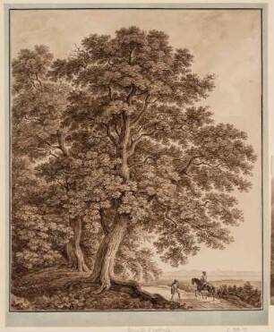 Alte Eichen, rechts ein Weg mit Reiter und Wanderer
