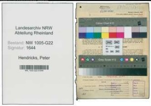 Entnazifizierung Peter Hendricks , geb. 09.06.1904 (Kaufm.Angestellter)