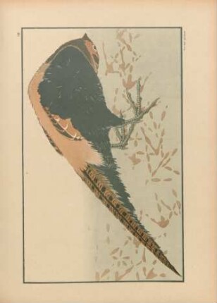 IB [Faisan, par Hokusai]