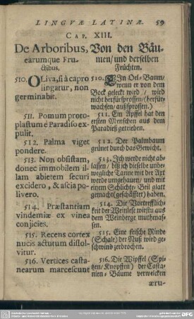 Cap. XIII. De Arboribus, earumque Fructibus