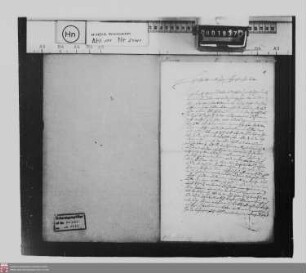 Einkünfte der von Staffel in der Grafschaft Nassau-Diez, besonders zu Dauborn