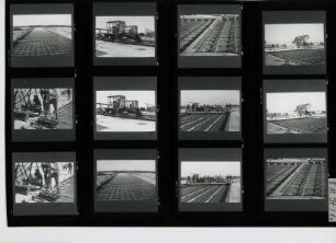 Flughafen - Spannbeton-Startbahn, Beja, 1994