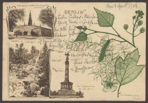 Ansichtskarte Viktoriapark mit Siegesdenkmal