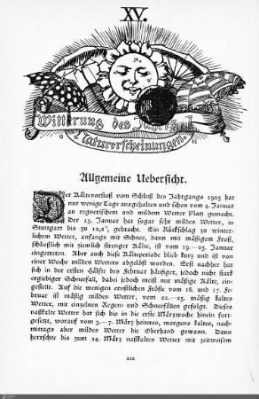 Witterung des Jahres. Naturerscheinungen.
