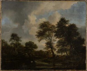 Waldsee mit zwei Schwänen