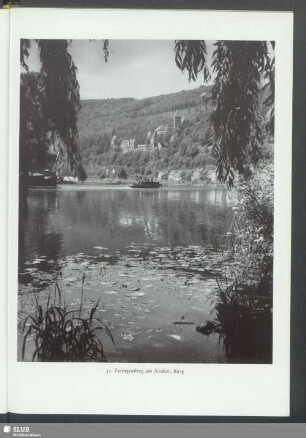Zwingenberg am Neckar, Burg