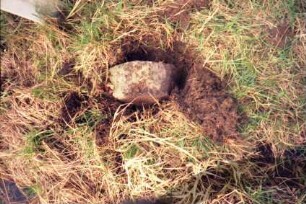 Kreis Herzogtum Lauenburg: Grenzstein: neben Wassergraben