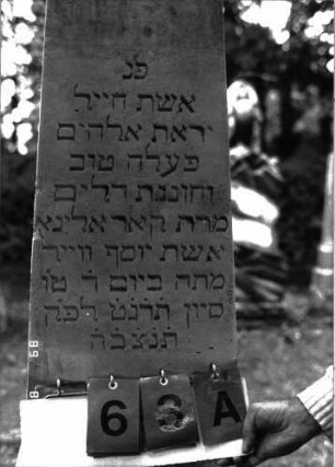 Grabstein 63 (Index: 100101509) Material: Marmor, unterster Sockelteil Kalkstein Zustand: gut Maße HxBxT: 155x42x21 cm Beschreibung: Obelisk, getreppter Sockel, unterster Sockelteil rusticaartig Steinmetz: J. Götz: Grabstein 63A