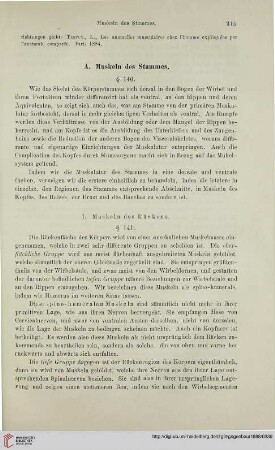 A. Muskeln des Stammes