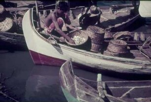 Reisefotos Asien. Muschelhändlerboot
