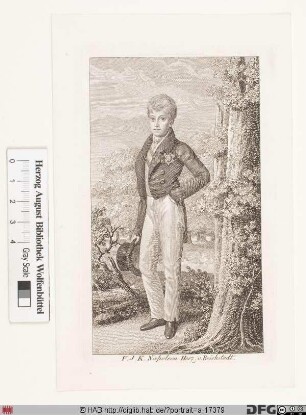 Bildnis François-Charles-Joseph-Napoléon Bonaparte, Herzog von Reichstadt