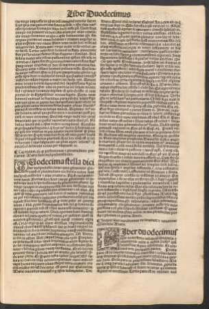 Incipit liber duodecimus der servitute et devotione exhibenda Marie.