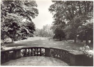 Palaisgarten im Sommer 1961. Detmold. Neustadt. Papierabzug