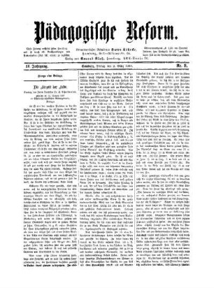 Die Eiszeit der Erde