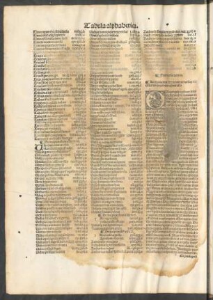 Ad divinarum literarum verarumque divitiarum amatores exhortatio.