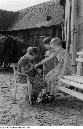 Porträt von Kindern auf einem Bauernhof beim Spielen mit einer Katze