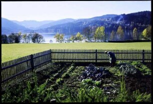 Titisee: bäuerlicher Gemüsegarten am See