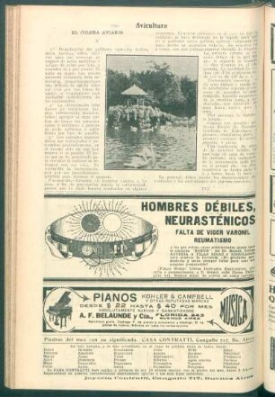 Avicultura : El cólera aviario - V