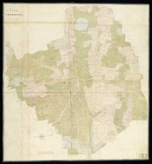 Raboldshausen (Kr. Crailsheim); "Markung Raboldshausen"; Geometer Schaible; 100 Ruten = 12,5 cm; 115 x 123,5 cm; Norden links; Papier auf Leinwand; Federzeichnung; Feld-, Waldstücke und Häuser in Wasserfarben; Grundstücke nummeriert und mit Meßgehalt versehen.