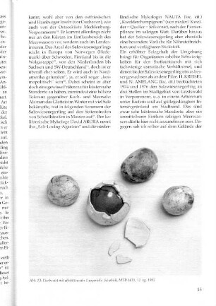 Abb. 13: Eierbovist abblätternder Exoperidie. Schobüll, MTB 1419, 12. og. 1993