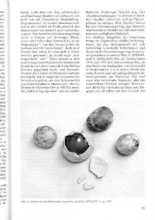 Abb. 13: Eierbovist abblätternder Exoperidie. Schobüll, MTB 1419, 12. og. 1993