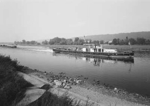 Dresden-Hosterwitz, Schleppzug auf der Elbe : Dresden. Schleppzug der CSPLO mit Heckrad-Motorschleppschiff 'Kamyk' auf der Fahrt bei Dresden-Hosterwitz