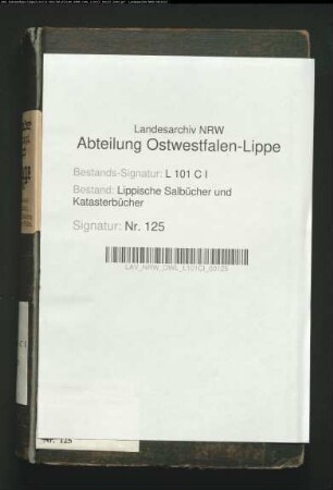 Konzept des Salbuchs der ehem. Vogtei Lage von 1855, Bd. 1