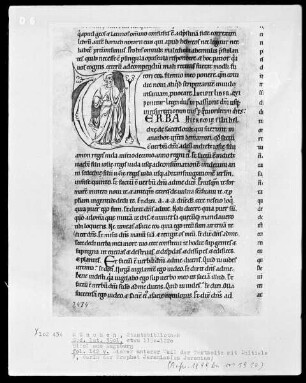 Bibel aus dem Augsburger Dom — Initiale V (erba Hieremie), darin Jeremias, Folio 142verso
