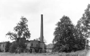 Spreetal-Neustadt (Spree). Rollmühle
