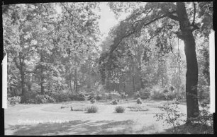 Großenhain. Stadtpark