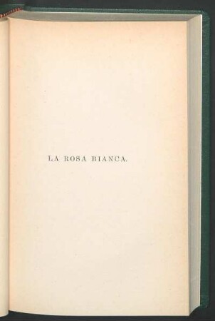La rosa bianca