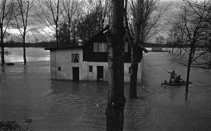 Rheinhochwasser im Rheinstrandbad Rappenwört.