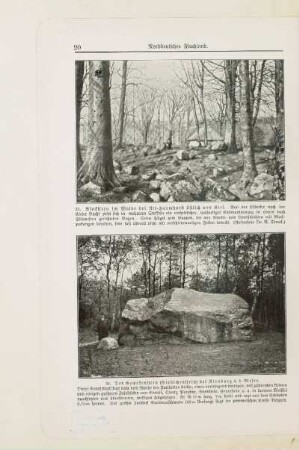 34. Der Gewekenstein (Giebichenstein) bei Nienburg a. d. Weser
