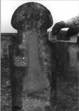 Grabstein 224 (Index: 100115114) Material: Sandstein Zustand: sehr stark verwittert mit sehr großem Textverlust Maße HxBxT: 148x60x14 cm Beschreibung: Stele mit Hufeisenbogen: Grabstein 224