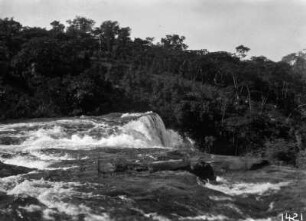 Kleiner Wasserfall : Stromschnellen und ein kleiner Wasserfall eines Flusses.