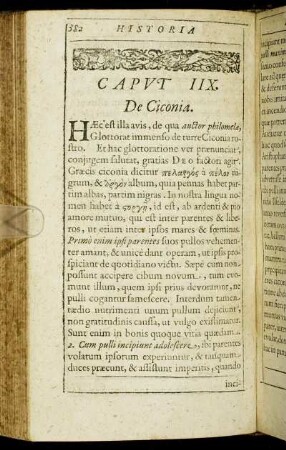 Caput IIX. De Ciconia.