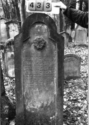 Grabstein 433 (Index: 99752738) Material: Sandstein Zustand: verwittert Maße HxBxT: 139x54x12 cm Beschreibung: Stele, schräg eingezogener Rundbogenabschluß, Schriftfeld eingetieft Symbolik: Blüte: Grabstein 433