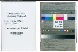 Entnazifizierung Friedel Lienenkaemper , geb. 31.08.1908 (Sekretaerin)
