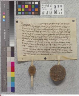Hirschhorn: Das Kloster Lorsch begiebt sich, da seine Abtei dem Erzstift Mainz zugefallen, aller Ansprüche auf das Schloss Hirschhorn, welches die...
