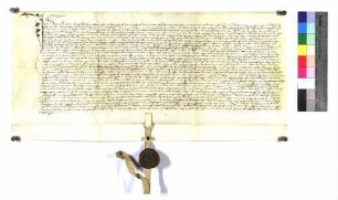 Lehenrevers Blasius Hug um des St. Klaren-Klosters Gut zu Pfauhausen