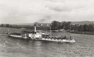 Personen-Seitenraddampfer "Krippen" (I, 1912, Werft Laubegast). Auf Fahrt stromauf an der Wesenitzmündung bei Pratzschwitz