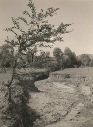 Bulgarien. Erosion im Lößboden