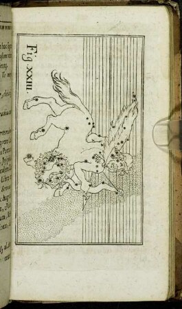 Fig. XXIII.