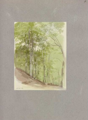 Klebebände, Band 16, Seite 57