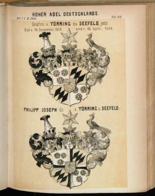 Taf. 108. Grafen v. Törring zu Seefeld - Philipp Joseph Gr. v. Törring z. Seefeld.