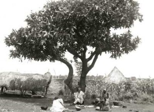 Duala nahe Tibati, Französisch-Kamerun. Händler auf dem Dorfplatz