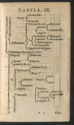 Tabula IX.