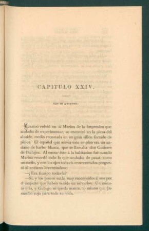 Capítulo XXIV. - En la prisión.