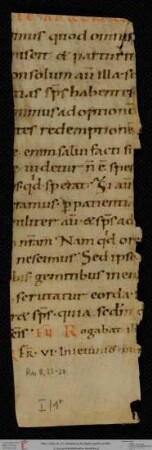 Fragmente aus Cod. Pal. germ. 491 - 494